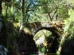PuenteAngostura-David2.jpg
