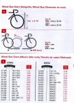 bicicolor3.JPG