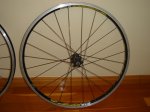DSC00464.JPG