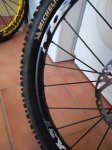 IMG_20161116_152251.jpg