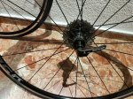 20161119_145856.jpg