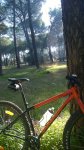 WP_20161119_007.jpg