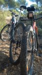WP_20161119_005.jpg