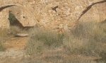 20160228_101402.jpg