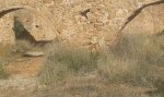 IMG-20160228-WA0005.jpg