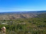 IMG-20160425-WA0005.jpg