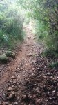 IMG_20161120_121833.jpg