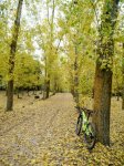 IMG_20161122_172521.jpg