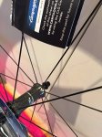 Campagnolo 8.jpg