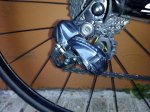 IMG-20161118-WA0006.jpg