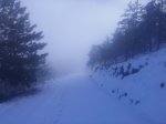 20161124_120519.jpg