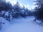 20161124_121002.jpg