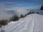20161124_125957.jpg