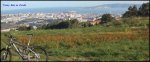 Panorama 1 r.jpg