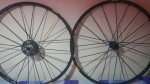 20161126_071011.jpg