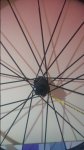 20161126_071024.jpg