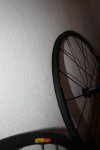 IMG_1576.JPG