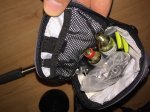 thumb_IMG_0595_1024.jpg