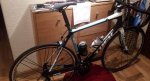 madone2.jpg