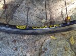 IMG_20161015_103421.jpg