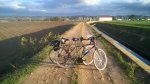 WP_20161128_16_45_48_Pro.jpg