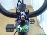 DSC00408.JPG