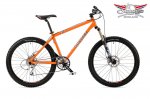 ORANGE P7.jpg