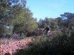 PHOT0049.jpg
