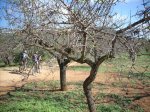 DSCN0815.jpg