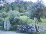 DSC01118p.jpg