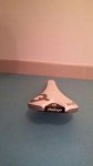 IMG-20161130-WA0014.jpg