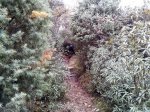 IMG_20161203_110051.jpg
