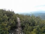 IMG_20161203_120154.jpg