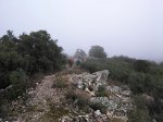 IMG_20161203_114238.jpg