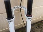 IMG_1818.jpeg