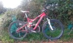 20161204_130548.jpg