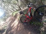 20161203_105403.jpg