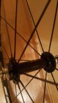 IMG-20161202-WA0023.jpg