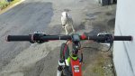 IMG-20161205-WA0002.jpg