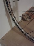 20161203_204530.jpg