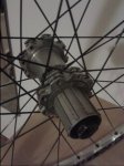 20161203_204545.jpg