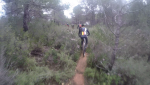 vlcsnap-2016-12-06-19h24m54s643.png