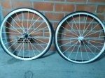 IMG-20161203-WA0035.jpg