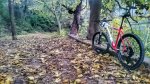 DSC_0017-01.jpeg