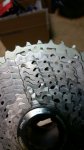 20161003_100624.jpg