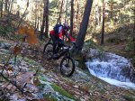 2016-12-06 Tuberia, Bambi, Escorpion2.jpg
