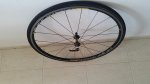 20161208_115535_resized_1.jpg