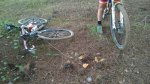 WP_20161208_002.jpg