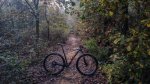 20161210_155228.JPG