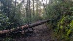 20161210_163451.JPG